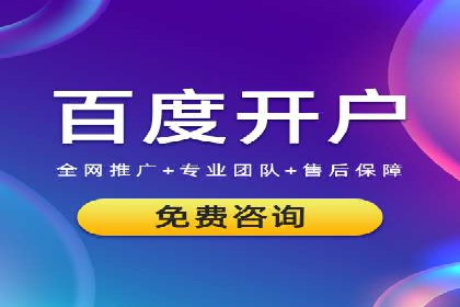 SEM网络推广案例：精准营销助力品牌成长